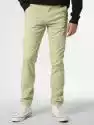 Selected - Spodnie męskie – SLHSlim-New Miles, zielony