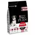 15% taniej! Purina Pro Plan, sucha karma dla psa, 3 kg / 7 kg - Medium Puppy Sensitive Skin Optiderma, łosoś i ryż, 3 kg