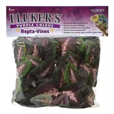 Fluker's Flukers Purple Coleus Repta-Vin Podobne : Fluker's Flukers Ultra Deluxe Premium Heat Mat, Mini - 4 W (Mini Zbiorniki) (Pakiet 1) - 2904833
