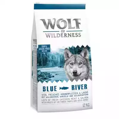 Korzystny pakiet Wolf of Wilderness, 2 x