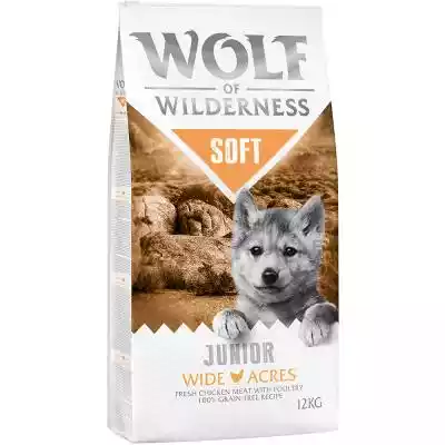 Dwupak Wolf of Wilderness 