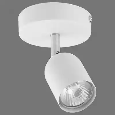 Lampa Top White 3299 K1 Podobne : Lampa F19002-1P white LW1 - 570031