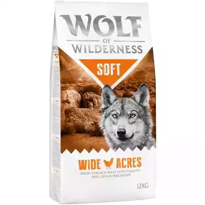Dwupak Wolf of Wilderness 