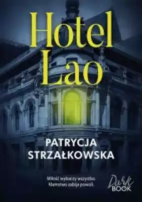 Hotel lato Książki > Literatura > Proza, powieść