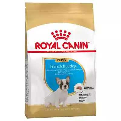 Royal Canin Breed French Bulldog Puppy - Psy / Karma sucha dla psa / Royal Canin Breed / French Bulldog