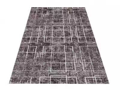 Nowoczesny dywan z kolekcji Panamero. Wykonany został z materiałów,  które gwarantują odporność na blaknięcie kolorów,  odkształcenia czy procesy ścierania. Nietuzinkowy wzór w kafelki wpasuje się w każdą aranżację. Dywany z tej serii nie elektryzują się,  są idealną propozycją dla alergik