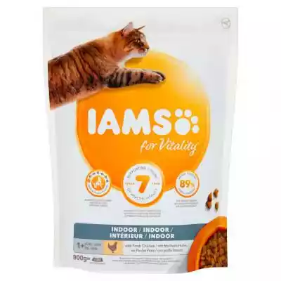 IAMS - Indoor karma sucha dla dorosłych kotów kurczakiem
