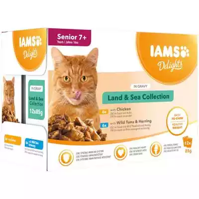 IAMS Delights Senior Land & Sea Collecti Podobne : IAMS - Indoor karma sucha dla dorosłych kotów kurczakiem - 224182