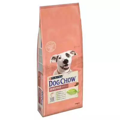 Dwupak Purina Dog Chow, 2 x 14 kg - Adul