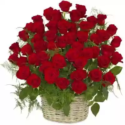 Bukiety Kwiatowe Kosz 50 Róż Czerwonych