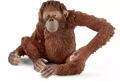 Schleich Orangutan samica Podobne : Bajeczki o zwierzątkach. Display 25 sztuk - 527323