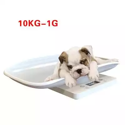 Xceedez 10 kg Skalia cyfrowa dla zwierzą Podobne : Xceedez Dokładna cyfrowa waga kuchenna i waga spożywcza do gotowania, 5 kg / 1 g, stal nierdzewna (srebrna) - 2943859