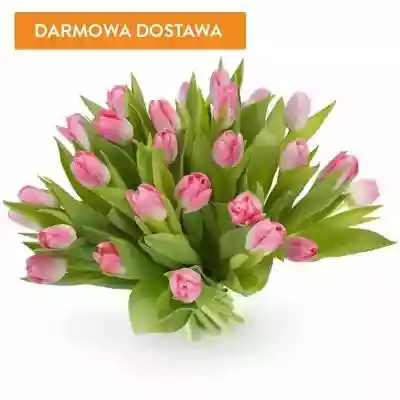 Bukiety Kwiatowe 25 Tulipanów Różowych zostanie