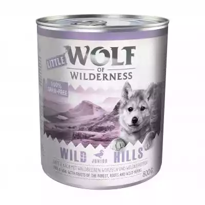 Little Wolf of Wilderness Junior, 6 x 80
