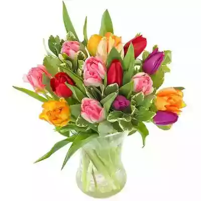 Bukiety Kwiatowe Bukiet Kolorowych Tulip Podobne : Bukiety Kwiatowe Bukiet Kondolencyjny XIX - 2217