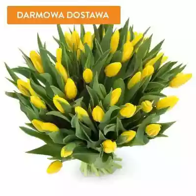 Bukiety Kwiatowe 50 Tulipanów Żółtych oferuje