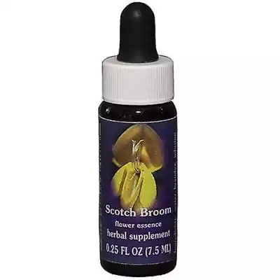 Flower Essence Services Scotch Broom Dro Podobne : Essence Get Big Lashes Volume tusz do rzęs Black - 1269922