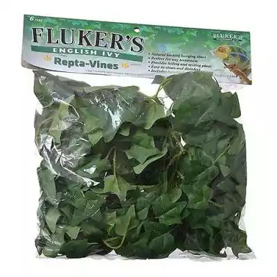 Fluker's Flukers English Ivy Repta-Vines Podobne : Fluker's Flukers Ultra Deluxe Premium Heat Mat, Mini - 4 W (Mini Zbiorniki) (Pakiet 1) - 2904833
