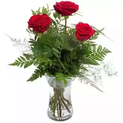 Bukiety Kwiatowe Bukiet 3 Róż Czerwonych Podobne : Bukiety Kwiatowe Bukiet Kondolencyjny XII - 2112