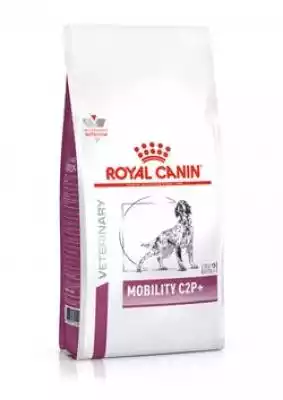 Royal Canin Mobility C2P+ - sucha karma dla psa Royal Canin Mobility C2P+ - sucha karma dla psa - produkt od Royal Canin. Marka od kilkudziesięciu lat specjalizuje się w wytwarzaniu pokarmów dla zwierząt domowych. Bez wątpienia tak ogromne doświadczenie pozwala tworzyć produkty oparte na o