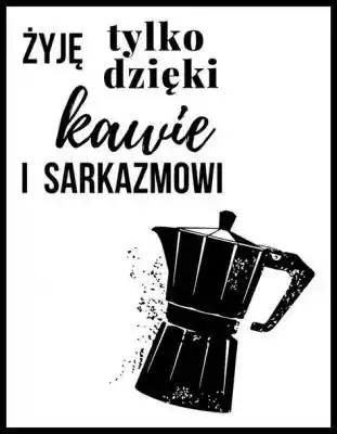 Sarkazm - plakat 21x29,7 cm Podobne : Sarkazm - plakat 21x29,7 cm - 460148
