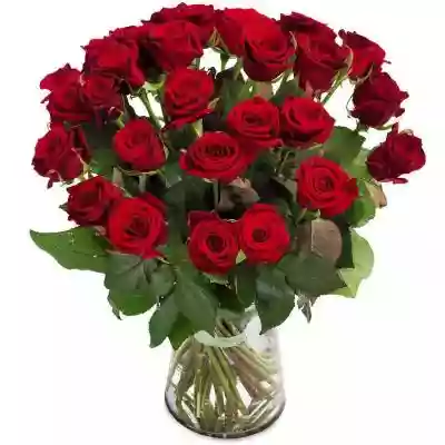 Bukiety Kwiatowe Bukiet 30 Róż Czerwonyc Podobne : Bukiety Kwiatowe Bukiet Kondolencyjny XV - 2157