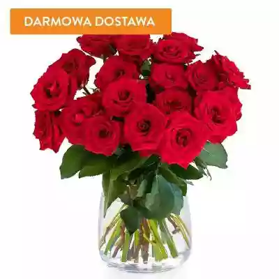 20 Róż Czerwonych Podaruj bliskim piękny bukiet 20 czerwonych róż z darmową dostawą na terenie całej Polski! Zamawiając u nas masz pewność,  że otrzymasz najświeższe kwiaty w konkurencyjnej cenie. Nasze róże ścinane są dopiero w dniu ich wysyłki — tego nie oferuje nikt inny! Bukiet 20 róż 