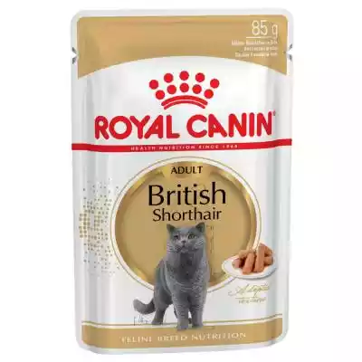 Uzupełnienie: Mokra karma Royal Canin -  Podobne : Royal Canin Mobility - sucha karma dla kota 2 kg - 44680