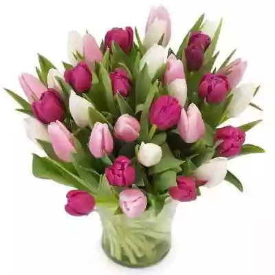 Bukiet Pastelowych Tulipanów Bukiet nawet 50 powodów,  dla których warto sprawić bliskim tulipanową niespodziankę! Kwiaty utrzymane w odcieniach różu sprawdzą się znakomicie w roli prezentu dla Mamy,  Przyjaciółki i Żony. Do kwiatów ułożonych przez lokalną kwiaciarnię Euro Florist,  istnie