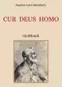 Cur Deus Homo oder Weshalb Gott Mensch wurde