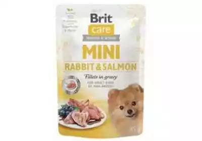 Brit Care Dog Mini Saszetka Królik I Łos Podobne : Brit Care Puppy Salmon & Potato - sucha karma dla szczeniaka 12kg - 44607