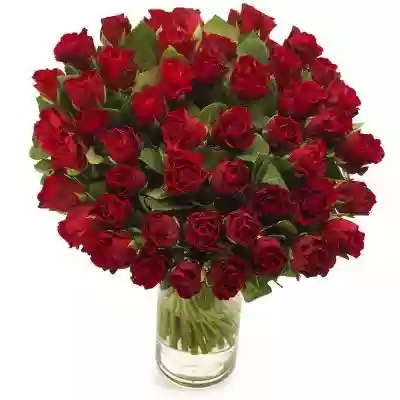 Bukiety Kwiatowe Bukiet 50 Róż Czerwonyc Podobne : Klub Czerwonych Trampek 1 - 669557