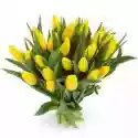 Bukiety Kwiatowe Bukiet Żółtych Tulipanów