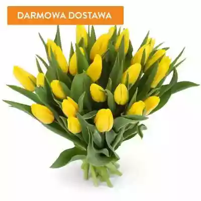 Bukiety Kwiatowe 25 Tulipanów Żółtych zostanie