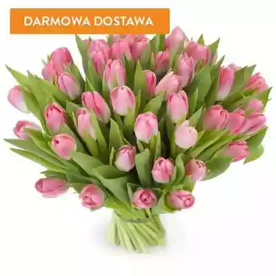 Bukiety Kwiatowe 50 Tulipanów Różowych zostanie