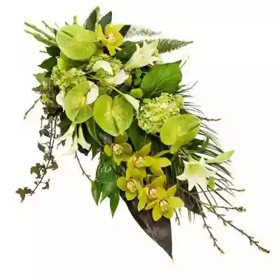 Bukiet Kondolencyjny VII Przekaż ostatnie pożegnanie przepięknym zielonym bukietem kwiatów. W jego skład wchodzą lilie,  hortensje,  kalie oraz storczyki. Elegancki charakter nadają bukietowi sezonowe dodatki. Będzie on wykonany i doręczony przez lokalną kwiaciarnię Euroflorist. Istnieje m