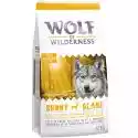 Korzystny pakiet Wolf of Wilderness, 2 x 12 kg - Adult Mix: jagnięcina, łosoś