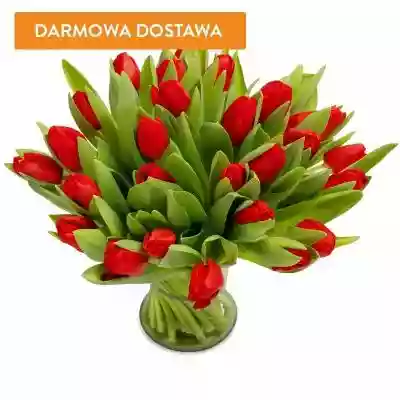 Bukiety Kwiatowe 50 Tulipanów Czerwonych zostanie
