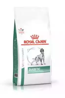 ROYAL CANIN Diabetic - Sucha karma diete Podobne : ROYAL CANIN  Mobility Feline - sucha karma dla dorosłych kotów - 400 g - 89778