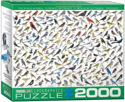 Eurographics - świat ptaków - 2000szt pu Gry i zabawki > Gry > Gry planszowe