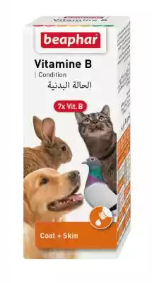 BEAPHAR Vitamine B Condition - zestaw wi Artykuły dla psów i kotów/Witaminy i odżywki
