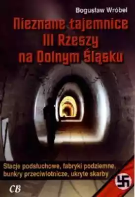 Nieznane tajemnice III Rzeszy na Dolnym  Podobne : Niewolnicy III Rzeszy z literą P. Polacy na robotach przymusowych w latach 1939-1945 - 374505