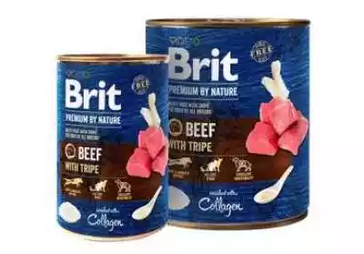 Brit Premium By Nature Puszka Wołowina I Podobne : Brit Premium By Nature Senior S+M - sucha karma dla psa 15kg - 44640