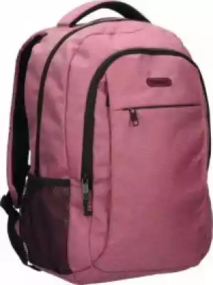 Plecak Alfa Pink Artykuły szkolne i papiernicze  > Plecaki
