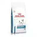 Royal Canin Veterinary Canine Anallergenic dla małych psów - 3 kg