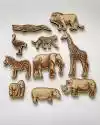 Zwierzęta świata do drewnianej mapy Naturalny, Dąb, Orzech, Heban