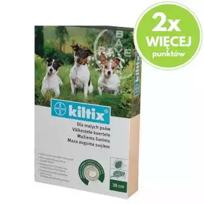 BAYER Kiltix Obroża przeciw pchłom i kle Podobne : Bayer Foresto Obroża - dla psów powyżej 8 kg - 88718