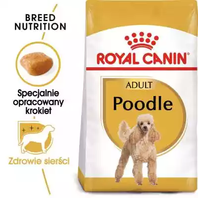 Royal Canin BHN Poodle Adult - sucha kar Podobne : Royal Canin BHN Poodle Adult 1,5kg + mokra karma 10x140 g - 90743