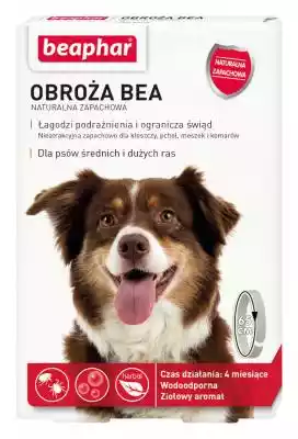BEAPHAR Obroża Bea - obroża ochronna dla Podobne : BEAPHAR - spray na pchły i kleszcze dla psa i kota - 250 ml - 90077