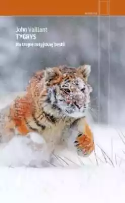 Tygrys. Na tropie rosyjskiej bestii publicystyka literatura faktu